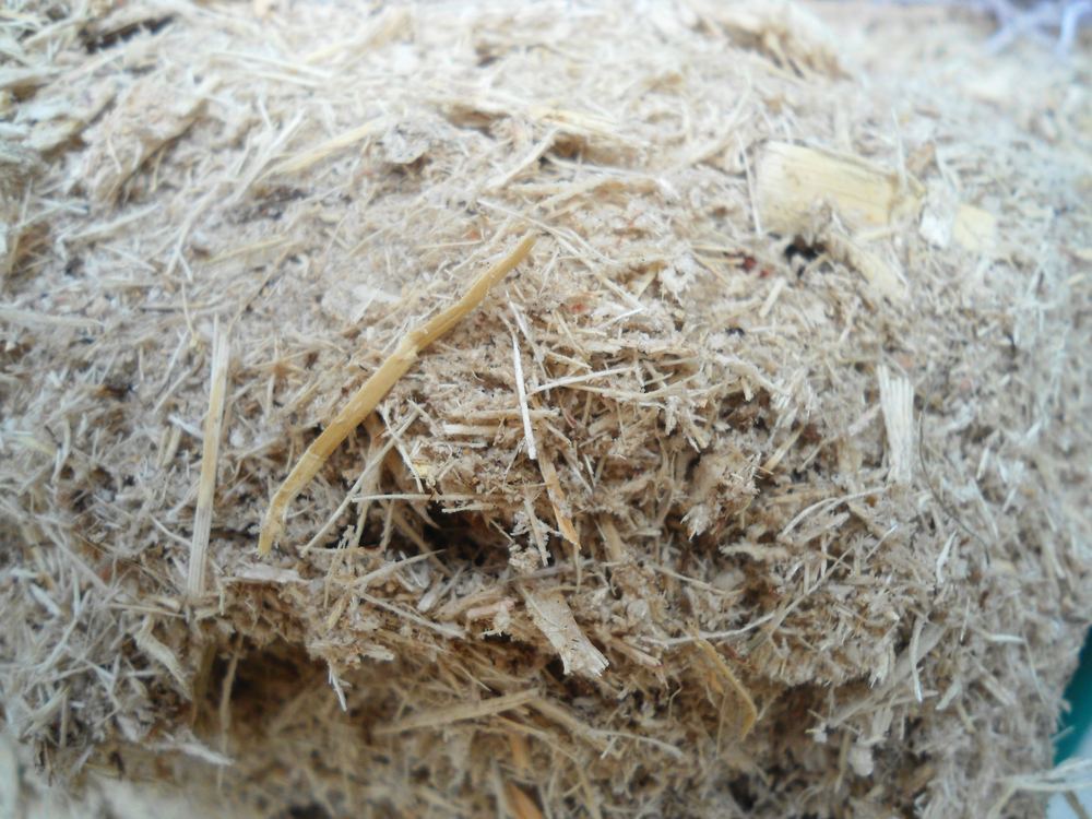 Ampas Tebu / Bagasse
