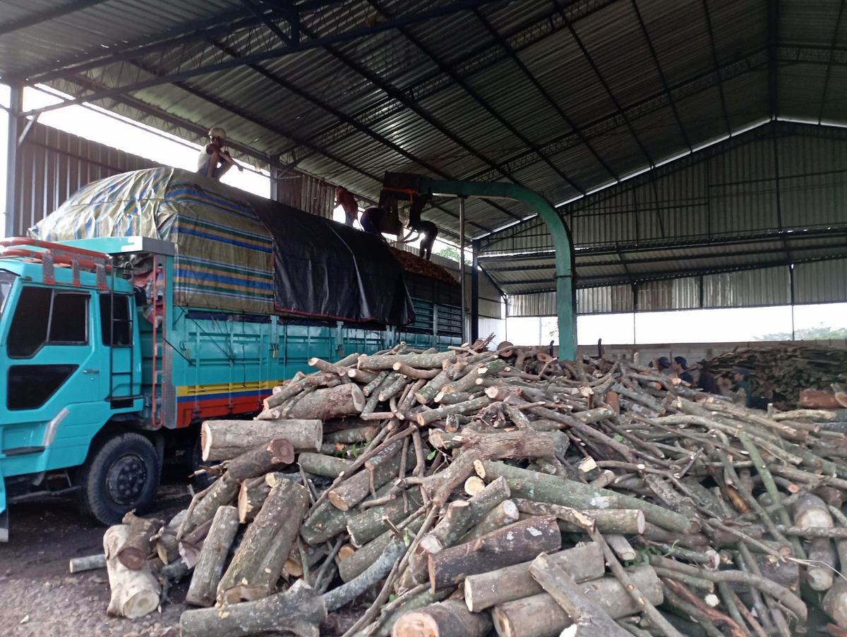 Proses bongkar muat bahan baku kayu di gudang
